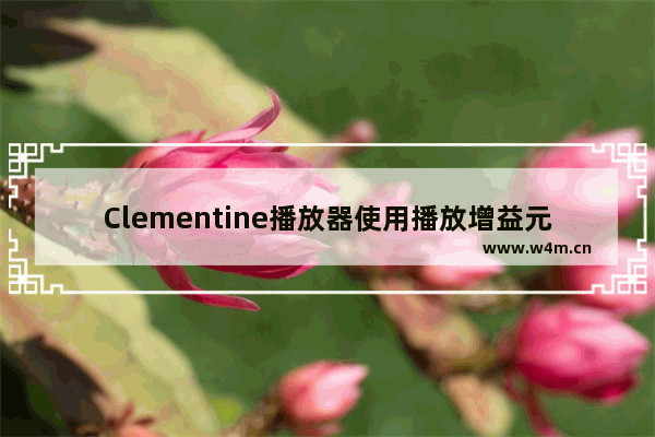 Clementine播放器使用播放增益元数据的设置方法