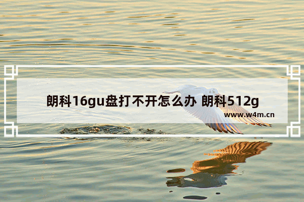 朗科16gu盘打不开怎么办 朗科512gu盘