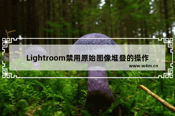 Lightroom禁用原始图像堆叠的操作指南