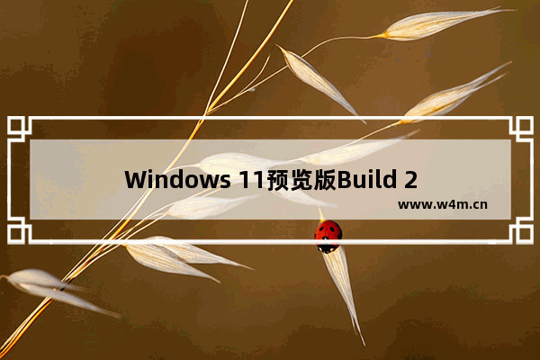 Windows 11预览版Build 25346更新内容解读