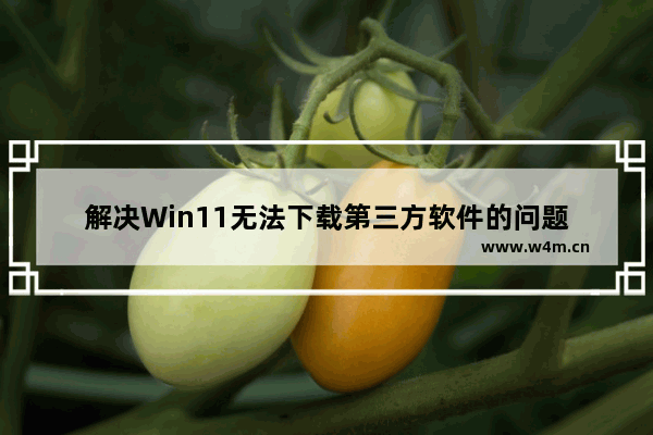 解决Win11无法下载第三方软件的问题