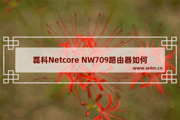 磊科Netcore NW709路由器如何设置上网的方法