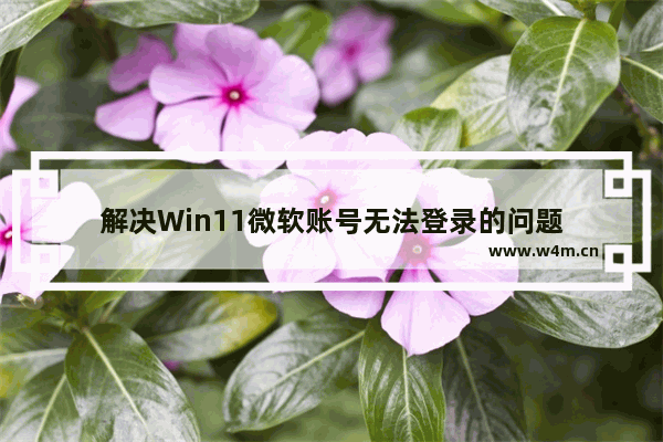 解决Win11微软账号无法登录的问题