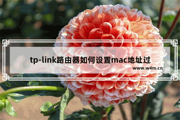 tp-link路由器如何设置mac地址过滤 tp-link路由器设置mac地址过滤方法【步骤】