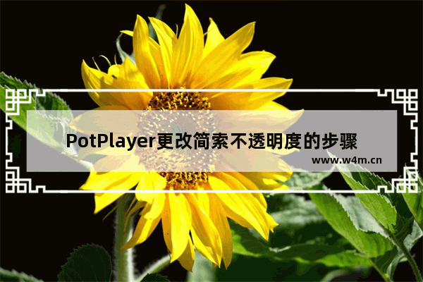 PotPlayer更改简索不透明度的步骤