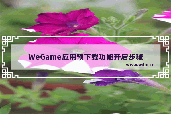 WeGame应用预下载功能开启步骤