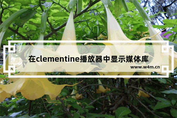 在clementine播放器中显示媒体库封面的设置方法