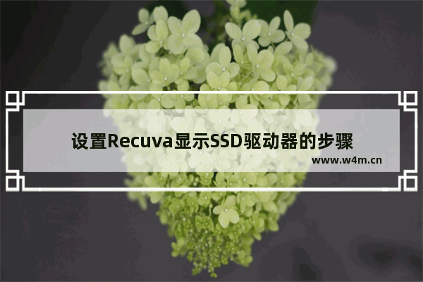 设置Recuva显示SSD驱动器的步骤