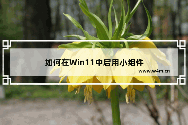 如何在Win11中启用小组件