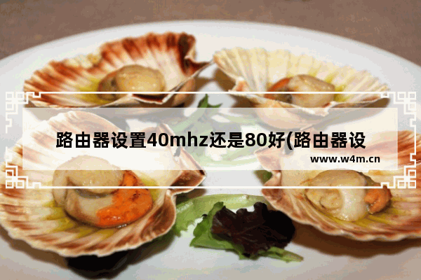 路由器设置40mhz还是80好(路由器设置40赫兹还是20赫兹)