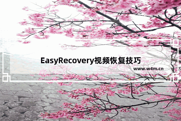 EasyRecovery视频恢复技巧