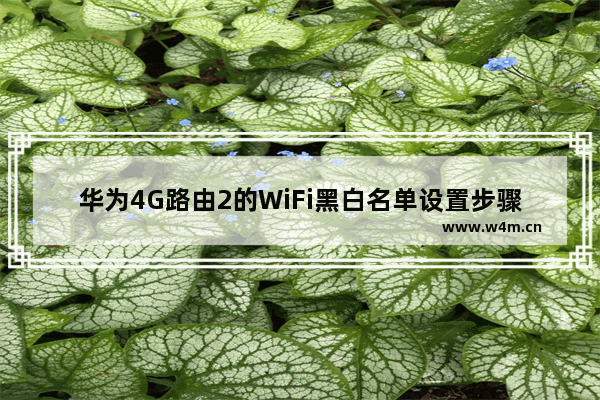 华为4G路由2的WiFi黑白名单设置步骤图解