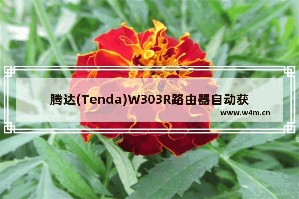 腾达(Tenda)W303R路由器自动获取IP设置上网方法