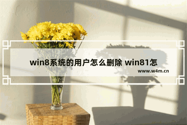 win8系统的用户怎么删除 win81怎么删除用户