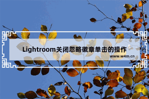 Lightroom关闭忽略徽章单击的操作