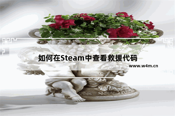 如何在Steam中查看救援代码