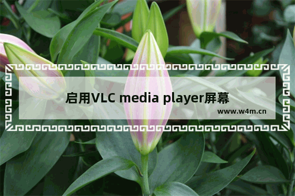 启用VLC media player屏幕保护的步骤