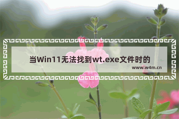 当Win11无法找到wt.exe文件时的处理办法