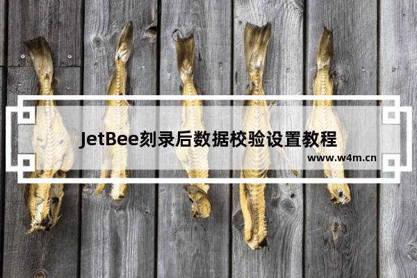 JetBee刻录后数据校验设置教程