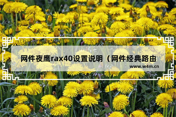 网件夜鹰rax40设置说明（网件经典路由器介绍）