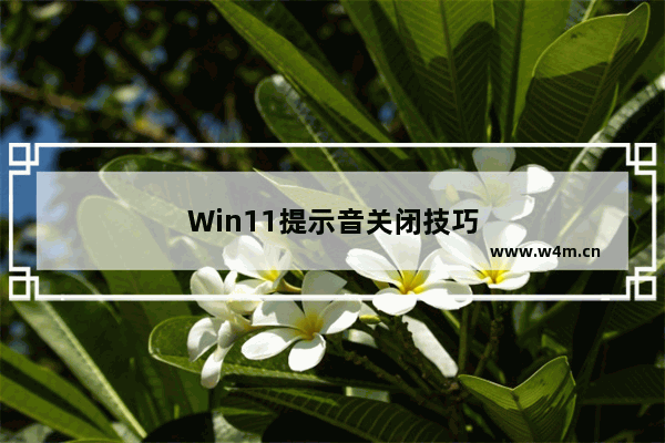 Win11提示音关闭技巧