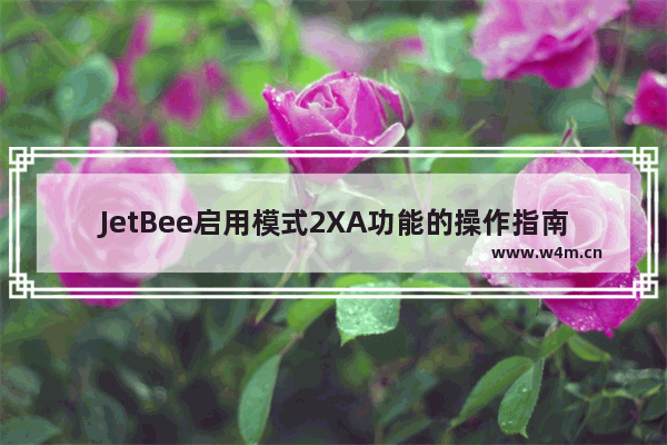 JetBee启用模式2XA功能的操作指南