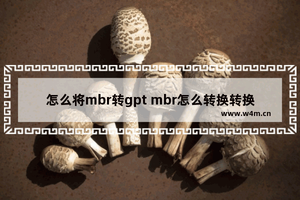 怎么将mbr转gpt mbr怎么转换转换成gpt磁盘