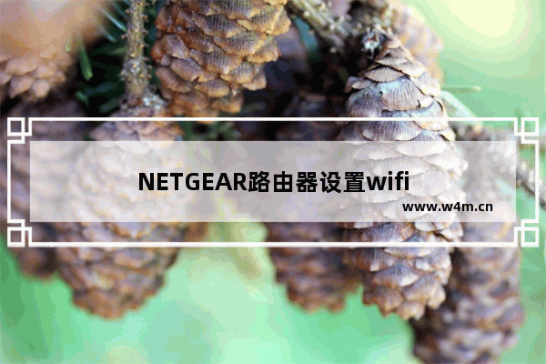 NETGEAR路由器设置wifi