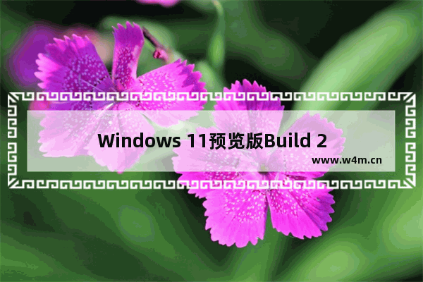 Windows 11预览版Build 25276更新内容详解