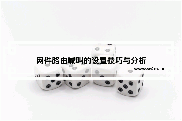 网件路由喊叫的设置技巧与分析