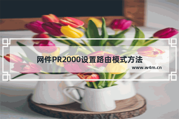 网件PR2000设置路由模式方法