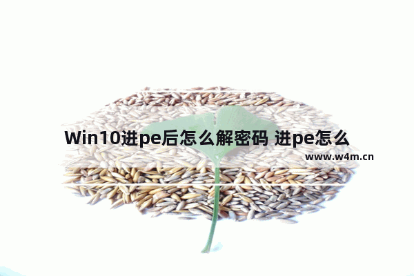 Win10进pe后怎么解密码 进pe怎么解除开机密码