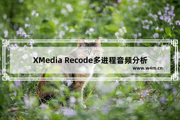 XMedia Recode多进程音频分析启动设置指南