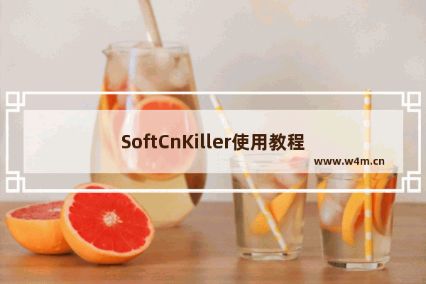 SoftCnKiller使用教程