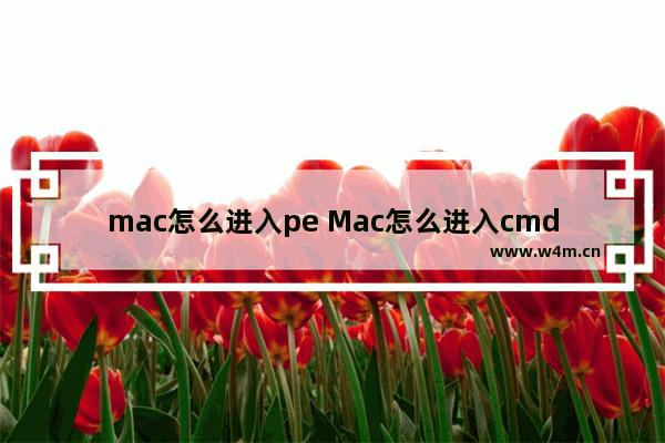 mac怎么进入pe Mac怎么进入cmd