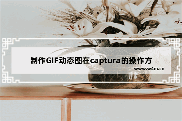 制作GIF动态图在captura的操作方法