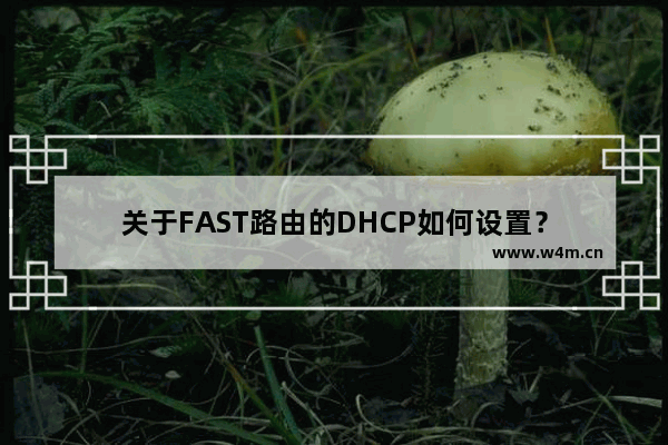 关于FAST路由的DHCP如何设置？