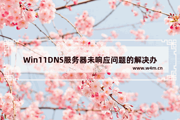 Win11DNS服务器未响应问题的解决办法