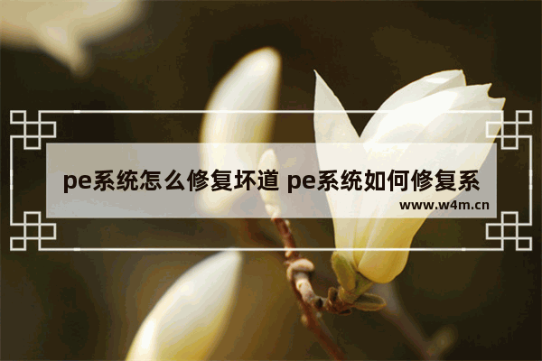 pe系统怎么修复坏道 pe系统如何修复系统