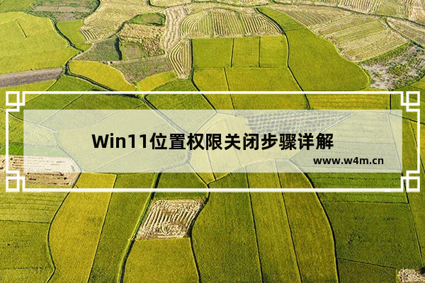 Win11位置权限关闭步骤详解