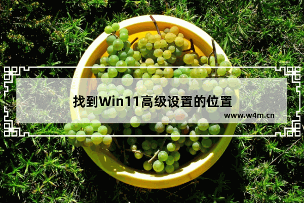 找到Win11高级设置的位置