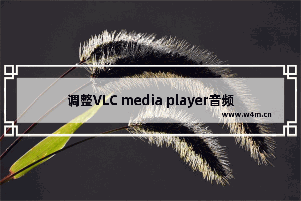 调整VLC media player音频效果的步骤