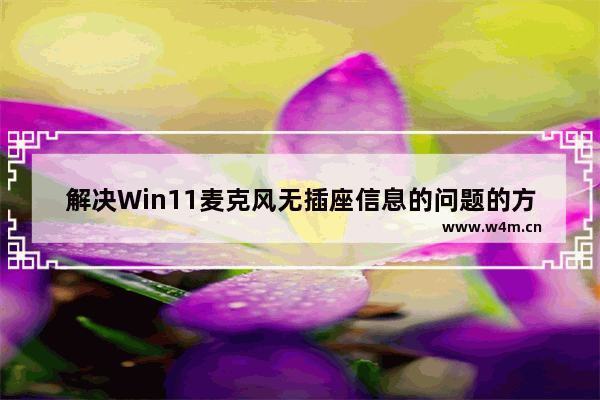 解决Win11麦克风无插座信息的问题的方法