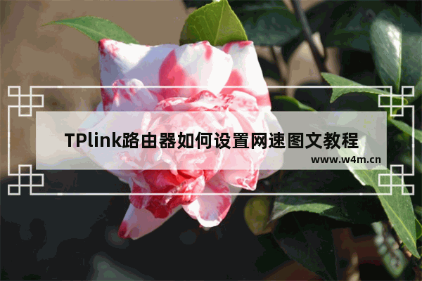 TPlink路由器如何设置网速图文教程