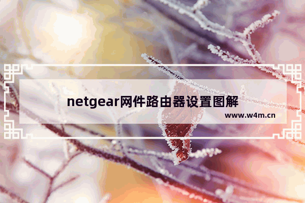 netgear网件路由器设置图解