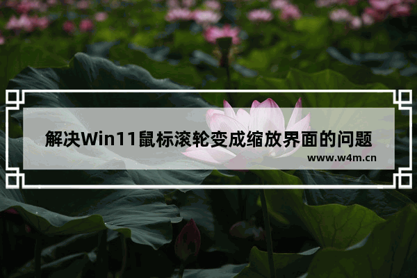 解决Win11鼠标滚轮变成缩放界面的问题