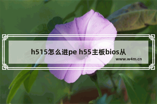 h515怎么进pe h55主板bios从u盘启动