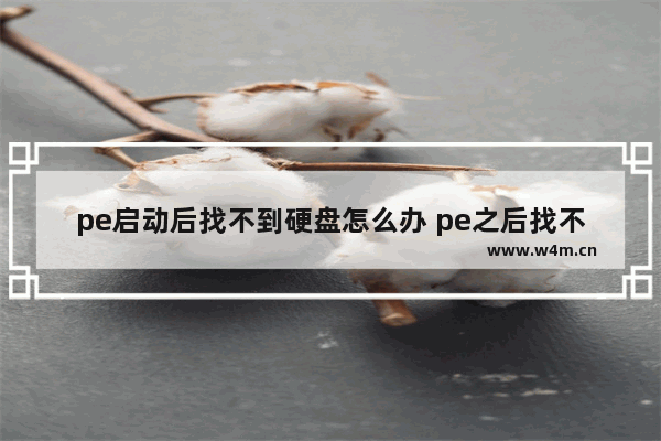 pe启动后找不到硬盘怎么办 pe之后找不到硬盘