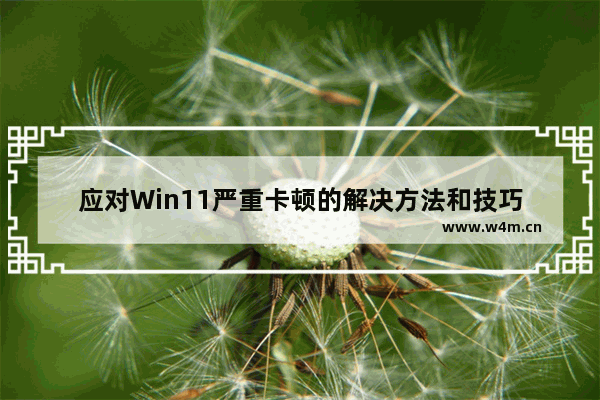 应对Win11严重卡顿的解决方法和技巧