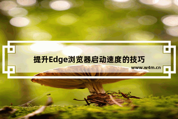 提升Edge浏览器启动速度的技巧